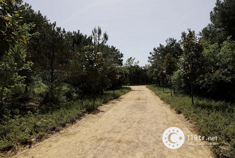 پارک جنگلی آتاتورک استانبول 65 پارک جنگلی آتاتورک استانبول 62